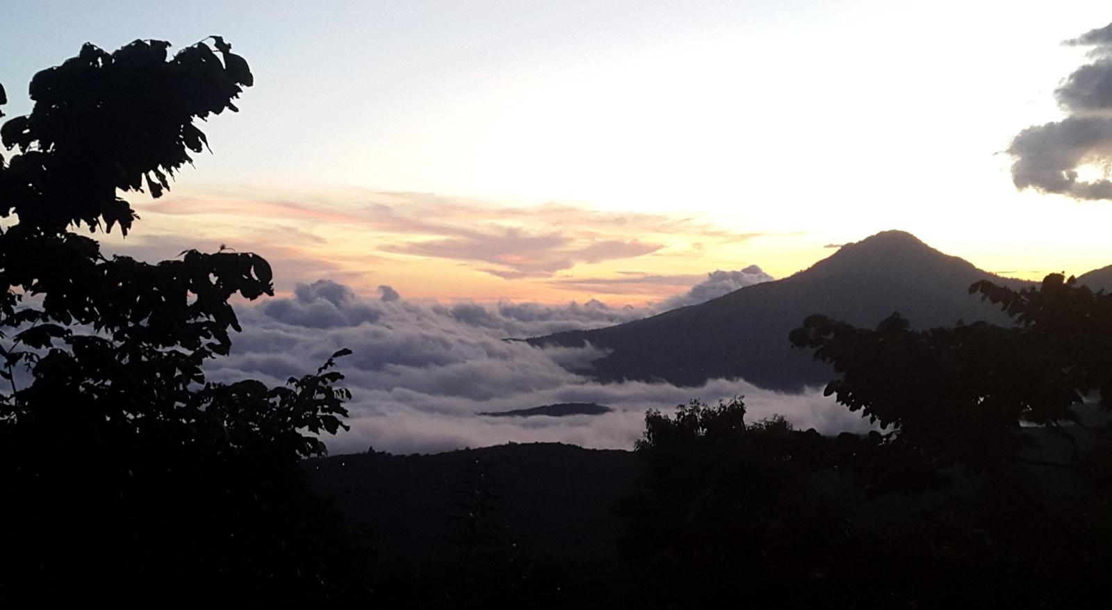 meza coffee-small website